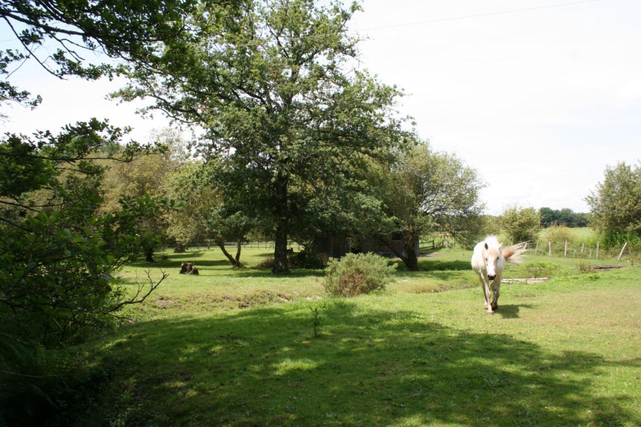2 Coeurs 2 Landes Daire Garrosse Dış mekan fotoğraf