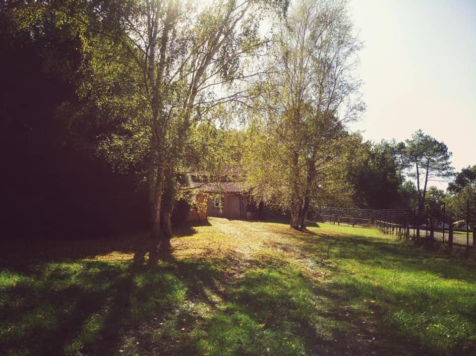 2 Coeurs 2 Landes Daire Garrosse Dış mekan fotoğraf